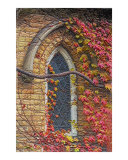 Church window in fall