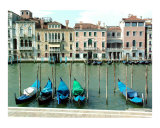 Gondola Docking on Grand Canal