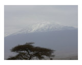 Mt Kilimanjaro