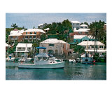 Flatts Village