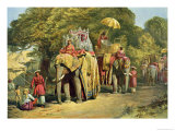 The Governor-General's State Howdah  1863
