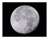 August Moon