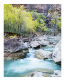 Zion Flow