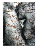 Hommage to Rodin's Eternelle Idole - Variation Ivy