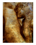 Homage to Rodin's Eternelle Idole - Variation Wheat