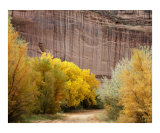 Canyon Road
