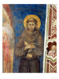 St Francis