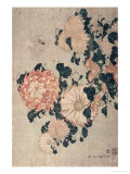 Chrysanthemums
