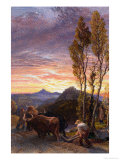 Oxen Ploughing at Sunset