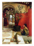 An Oleander  1882