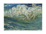 Neptune's Horses  Illustration for 