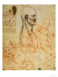 Anatomical Studies  circa 1500-07