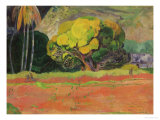Fatata Te Moua  1892