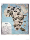 Map of Animals in Africa Sf