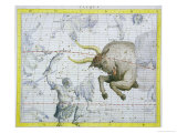 Constellation of Taurus  Plate 2 from "Atlas Coelestis " by John Flamsteed  Published in 1729