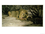 Lion Reclining in a Landscape