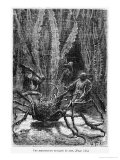 The Spider Crab  Illustration from "20 000 Leagues under the Sea"
