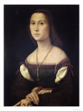 Portrait of a Woman  1507