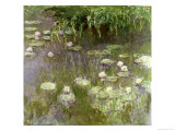 Waterlilies at Midday  1918