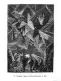 Illustration from "Voyage Au Centre De La Terre"
