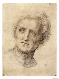 Head of a Man  Possibly Bramante