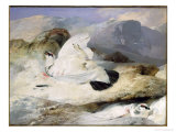 Ptarmigan