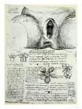 The Female Sexual Organs  Facsimile Copy
