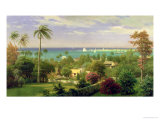 Panoramic View of the Harbour at Nassau in the Bahamas