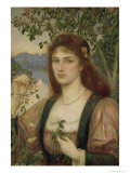 The Rose from Armida's Garden