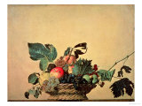 Basket with Fruit  circa 1596