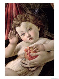 Detail of the Child with Pomegranate from the Madonna Della Melagrana