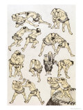 Manga: Studies of Gestures and Postures of Wrestlers  Published 1849