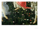 Primavera: Detail of Flowers
