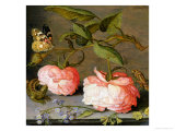 A Still Life with Roses on a Ledge