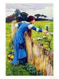 Spring