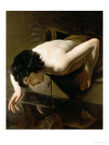 Narcissus