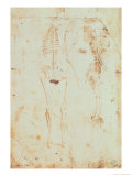 Two Studies of a Hanging Skeleton