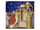 The Presentation of the Virgin at the Temple  circa 1305