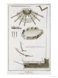 Plate XX: the Spread and Workings of the Pedals in a Harp