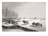 A Buffalo Pound  from "Narrative of a Journey to the Shores of the Polar Sea in the Years 1819-22"