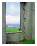 The Window