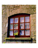 Looking In