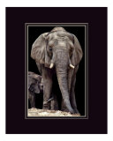 Elephant Hug