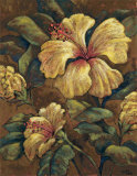 Hawaiian Ladies