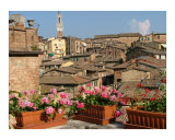 Siena Skyline