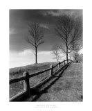 Fences and Trees  Empire  MI