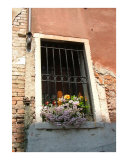 Italian Window