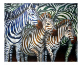 Zebra's Trio