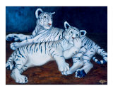 White baby tigers
