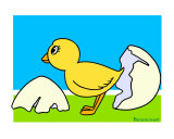 Chick
